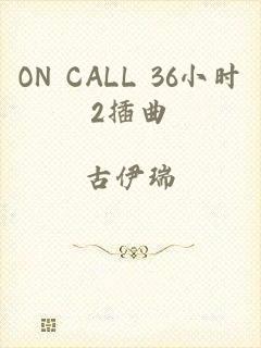 ON CALL 36小时2插曲